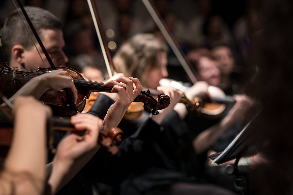 A photograph of several violinists at a performance.
