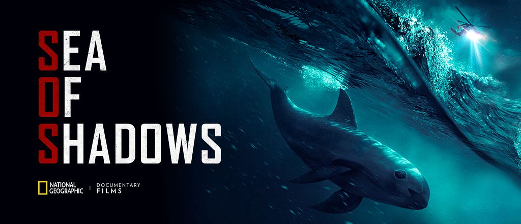Vaquita porpoise under water on cover of Sea of Shadows film poster