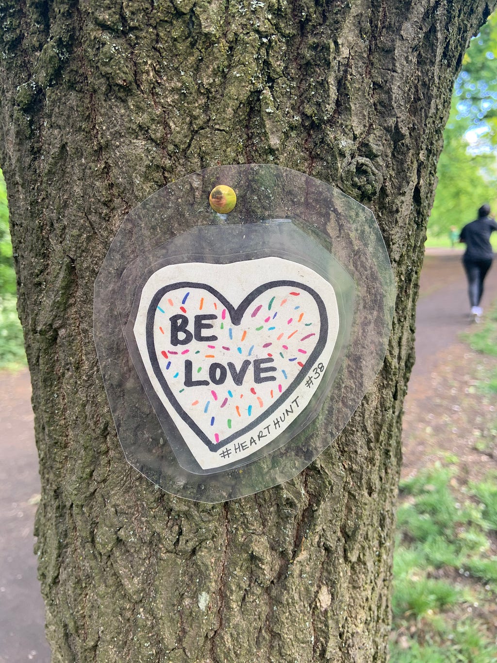 A paper heart with “Be Love” written on it, pinned to a tree.