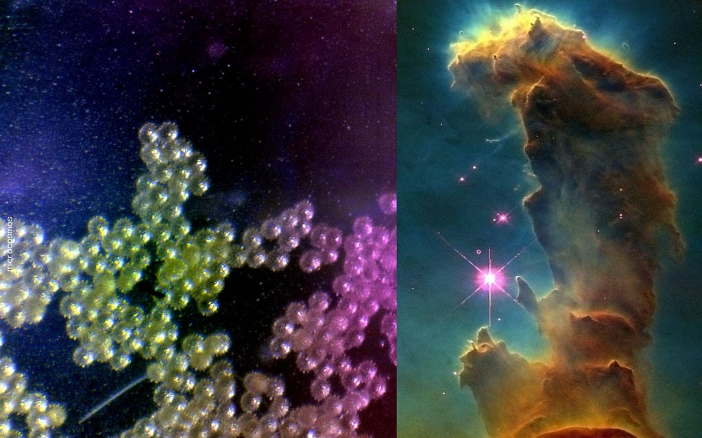 A microscopic photo I took of pollens in clumps like clouds with a deep blue background with white speckles like stars; Hubble telescope photograph of the Orion nebula, with reddish clouds of interstellar dust on a teal background shimmering with stars.