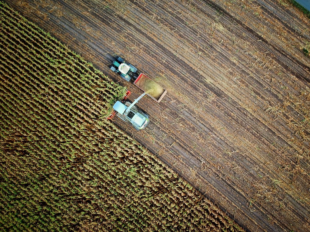 Aerial photo of industrial monocropping