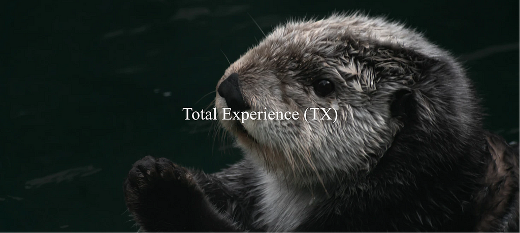 Cover image which is a text written “Total Experience (TX)” and having an otter in the background.