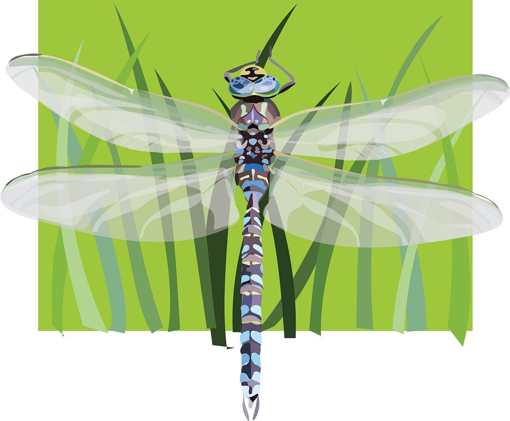 digital depiction of a dragonfly showing it on a blade of grass with wings stretched outwards.