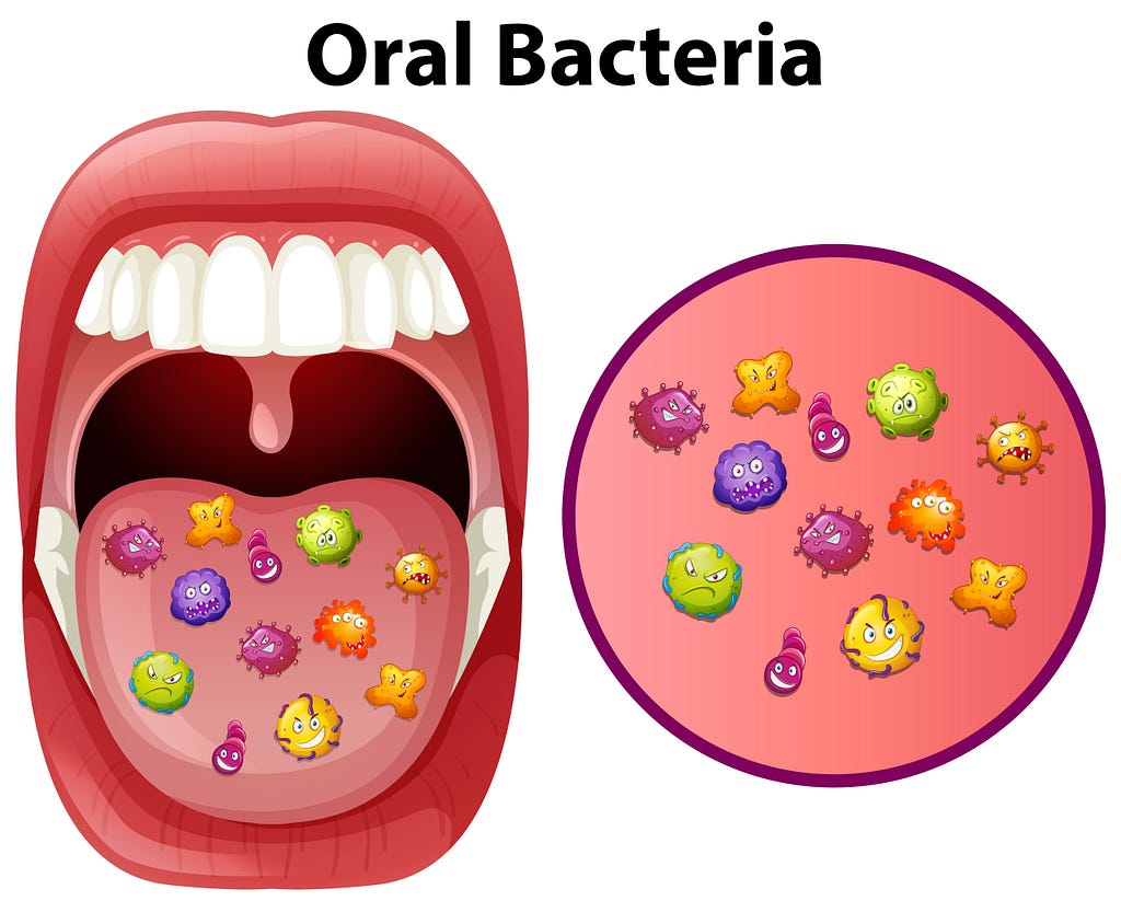 Bacteria in Your Mouth