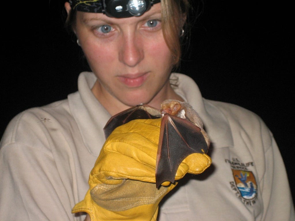 Woman in head lamp and Service polo holding a bat in a gloved hand