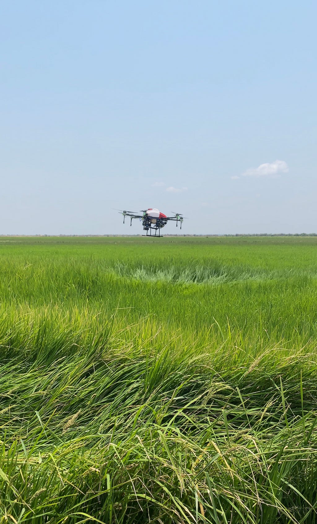 What Is BeatDrone? Using Drone Technology to Solve Real Farm Problems in Nigeria