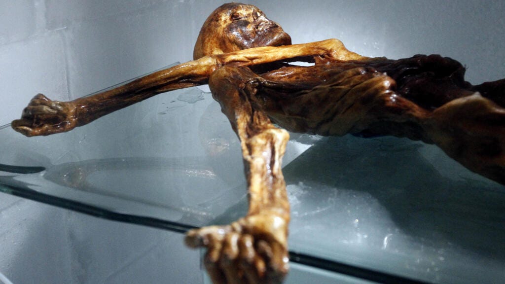 Scientists Bake Sourdough Bread Using Yeast From 5,000-Year-Old Mummy