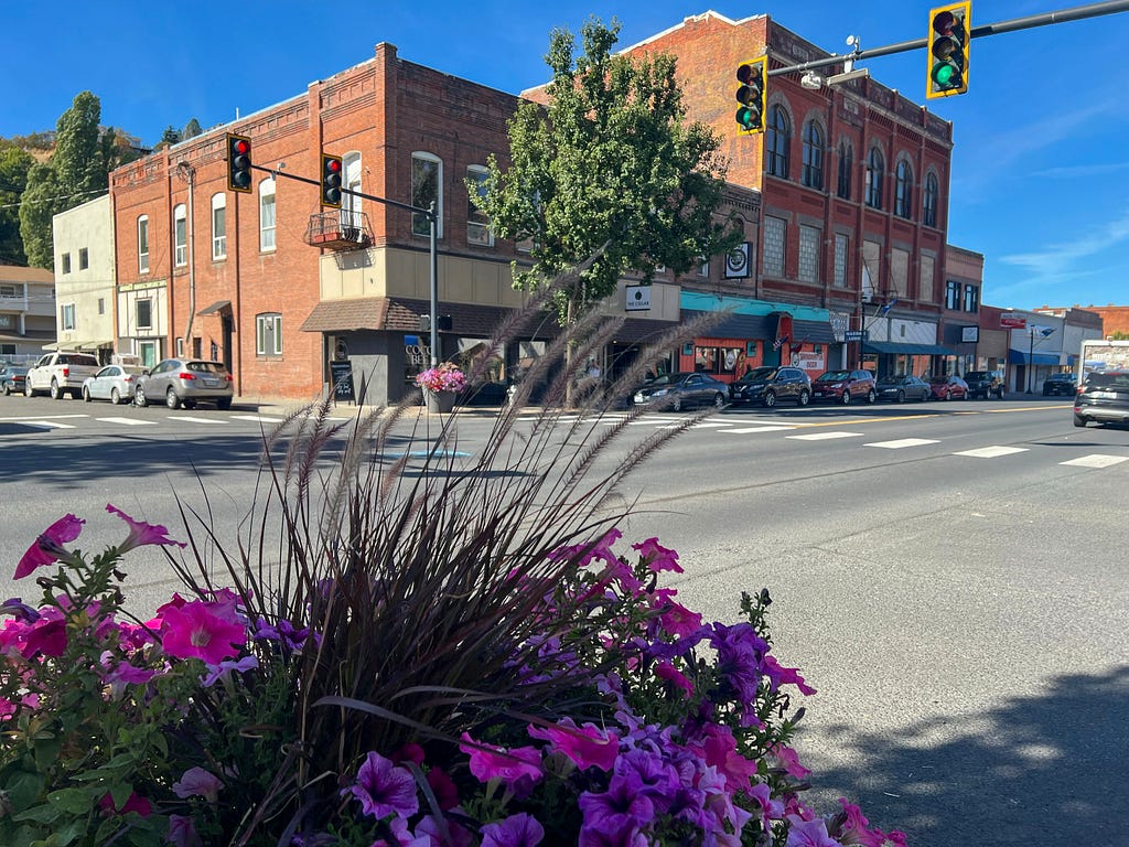 A colorful mix of flowers sit in the foreground in front of a traffic intersection and a row of historic buildings along Main Street in Colfax, Wash. Cars line the front and side of the buildings. Traffic signals are visible at the top of the frame above the intersection.