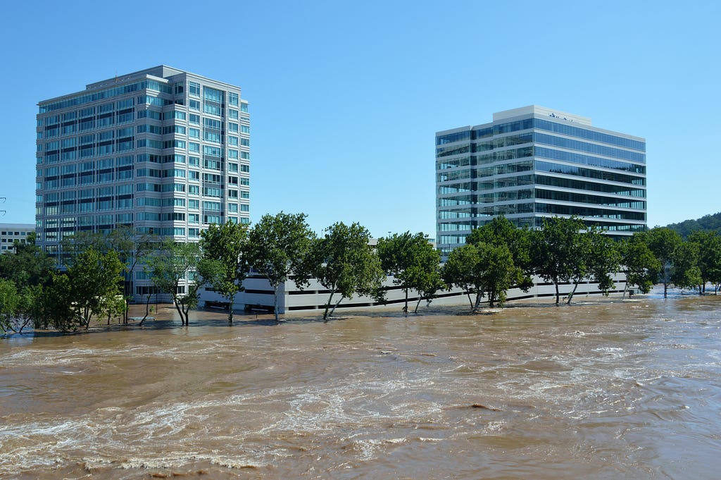 a parking structure and many trees engulfed in rushing floodwaters