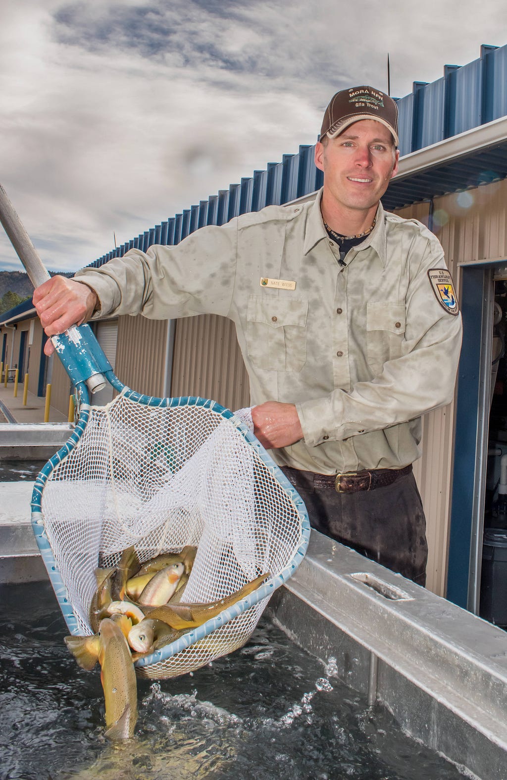 FWS employee loading Gila Trout onto Fish transportation truck at Mora National Fish Hatchery. Photo Credit: Craig Springer/USFWS.