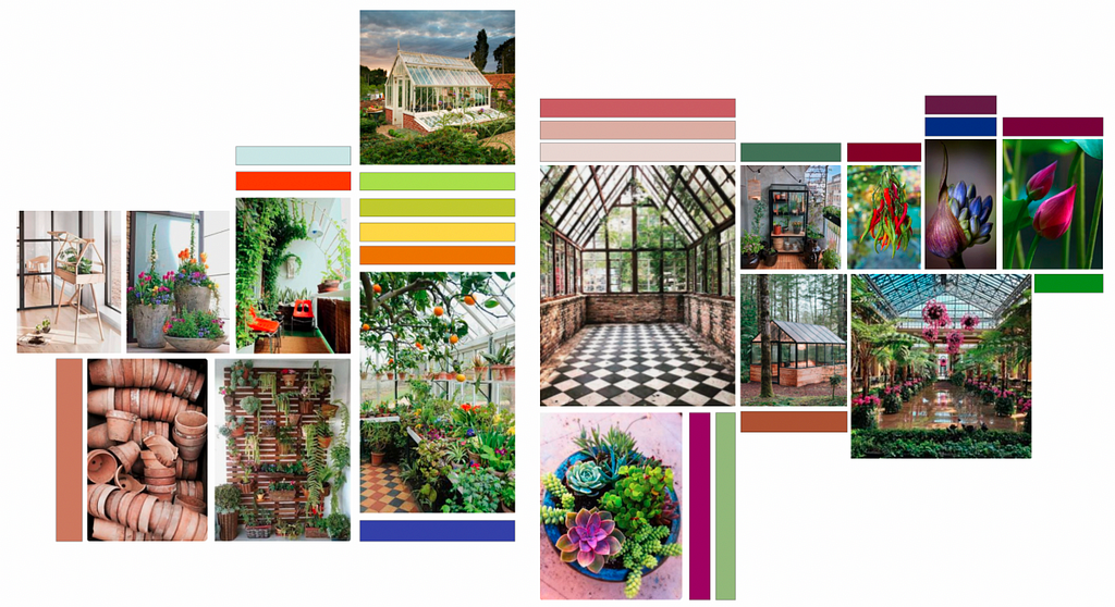 A mood board made of images such as greenhouses, botanical gardens, balconies, terracotta pots, coloured succulents and colours taken from these, such as, deep purples, plum, blue, then greens, pinks and oranges.