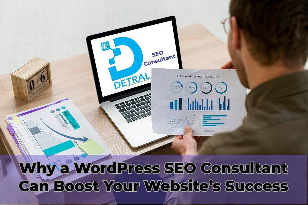 WordPress SEO Consultant