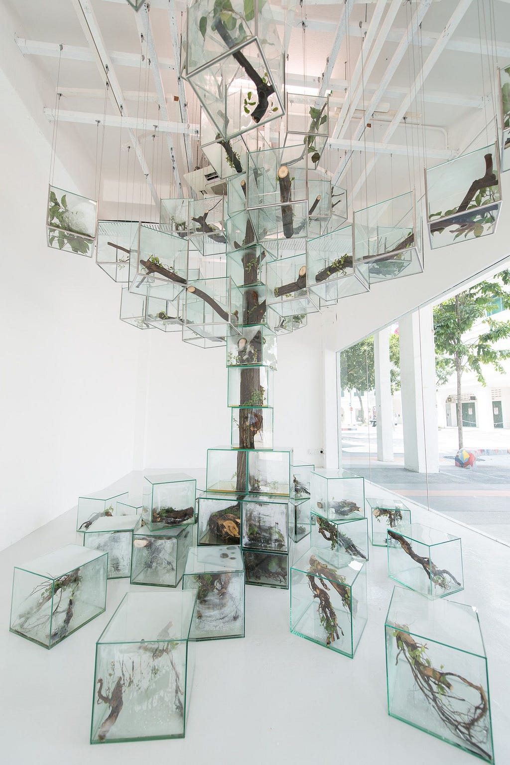 Takashi Kuribayashi: Trees