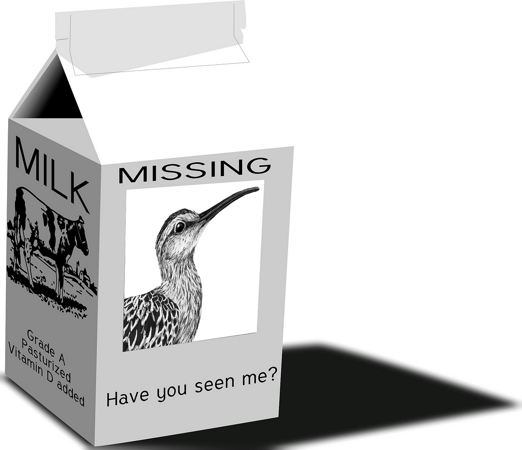 drawing of a bird on a milk carton