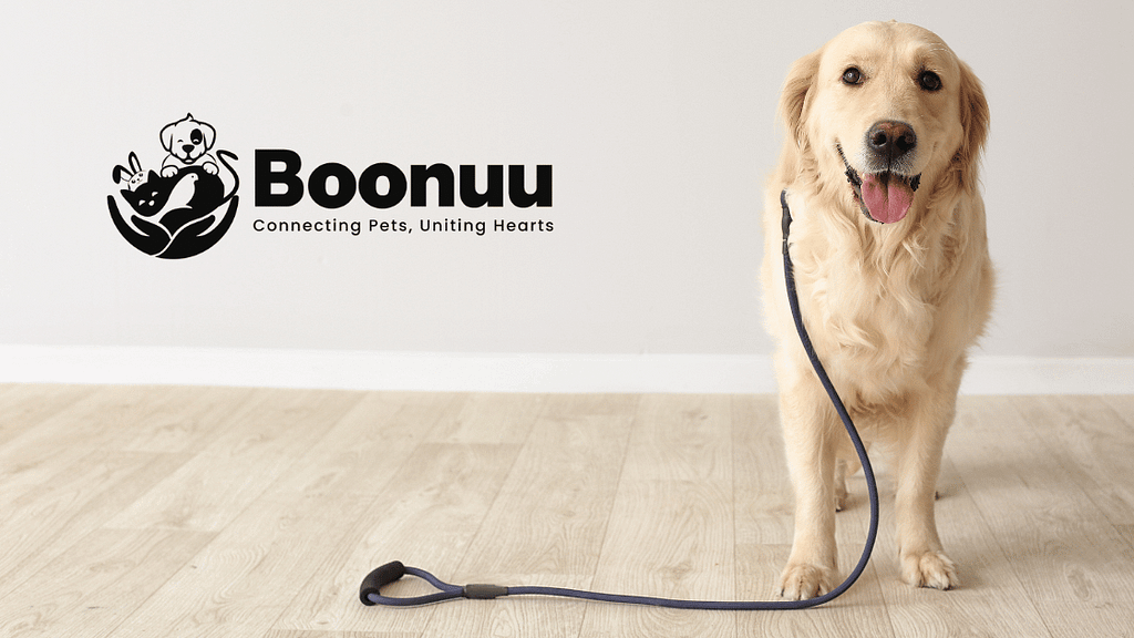 A golden retriever sitting next to a leash, with a logo and the phrase “boonu — connecting pets, uniting hearts” in the background.