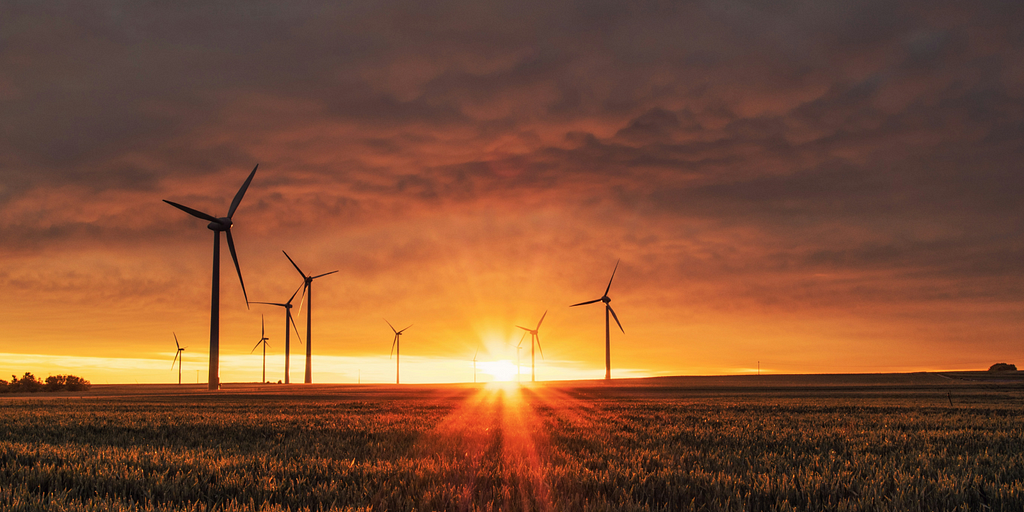 A bunch of windmills standing in a field and the sun setting behind them