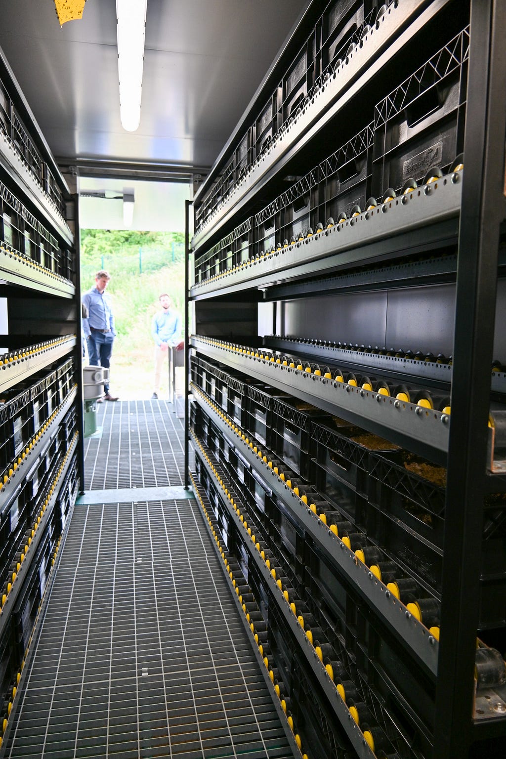 Inside the insect unit — rows of shelves with trays line a narrow pathway