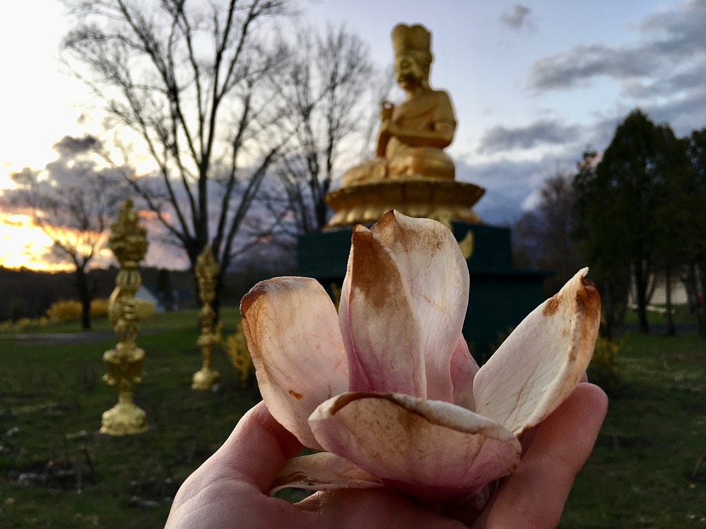 A statue of Buddha Vairocana with Magnolia flower.