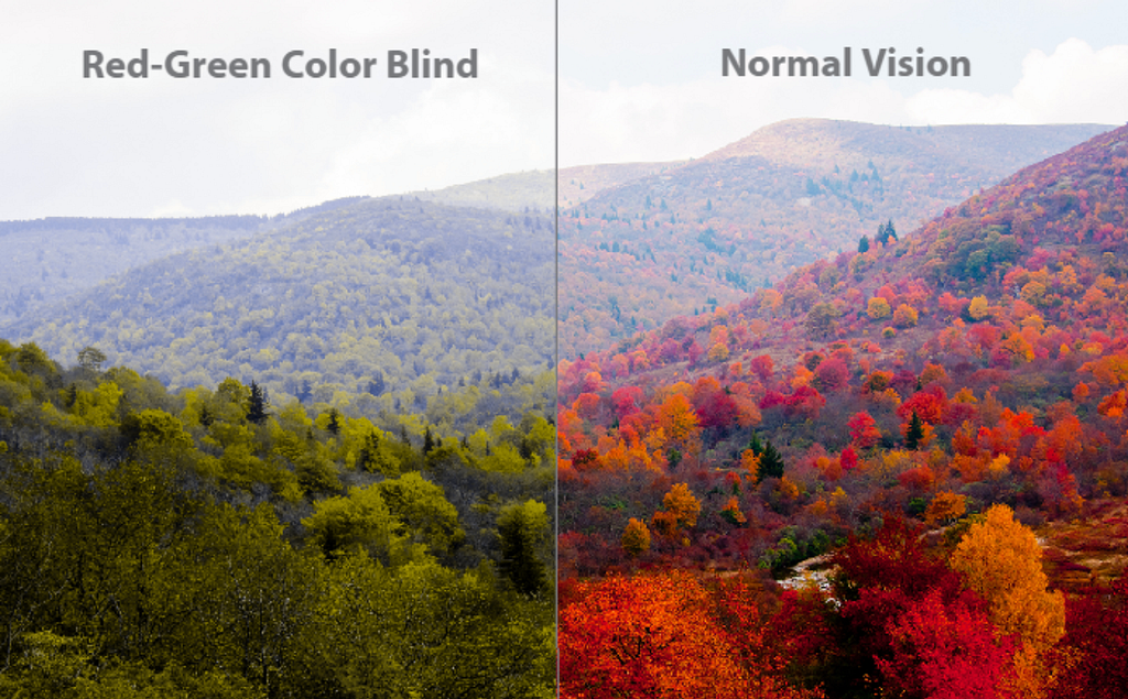 Comparison of Red-Green Color Blindness vs. Normal vision. On the left side an image from a mountain view, we see hills with a lot of green trees. Text above tha says “Red-Green Color Blind”. On the right side the same image with all the trees being red, text above “Normal Vision”.