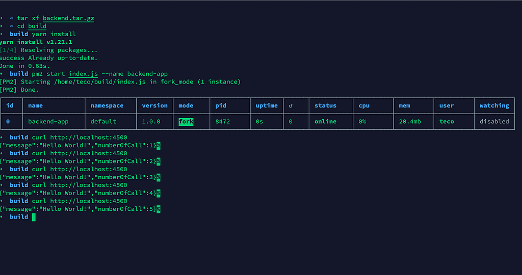 Running the application on the server with PM2.