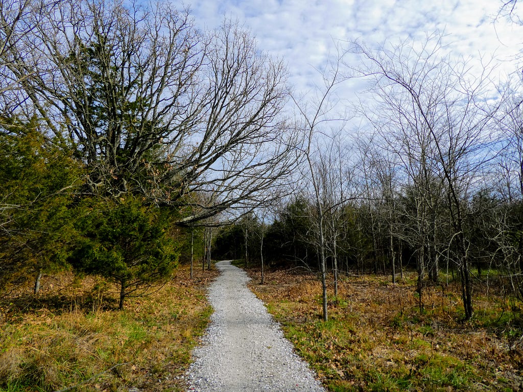 A gravel path surrounded by trees with a cloudy, blue sky above.