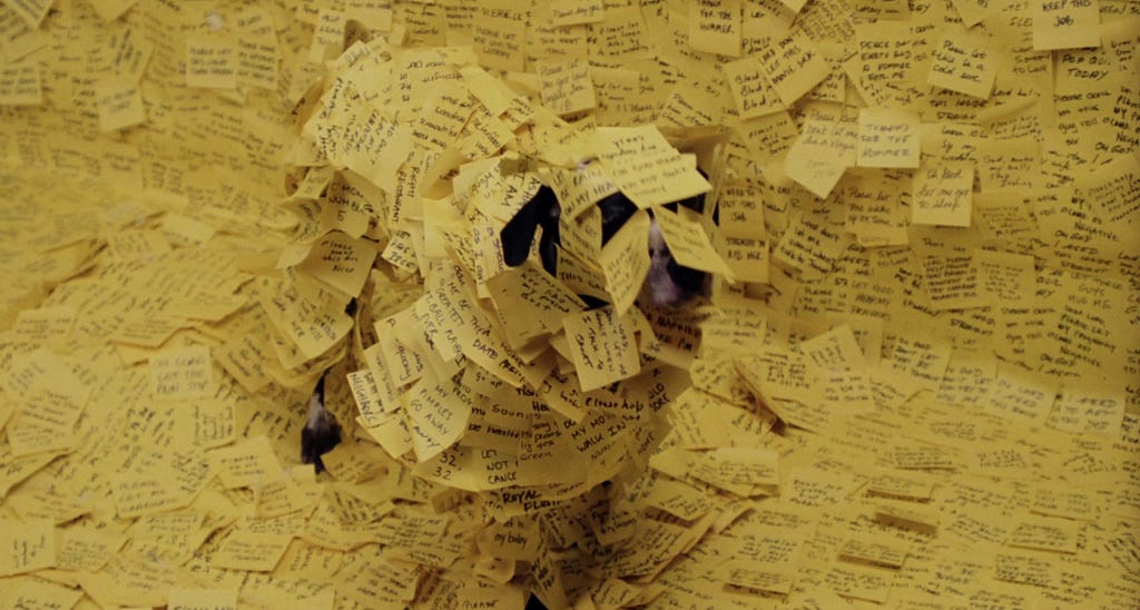A dog covered in post it notes