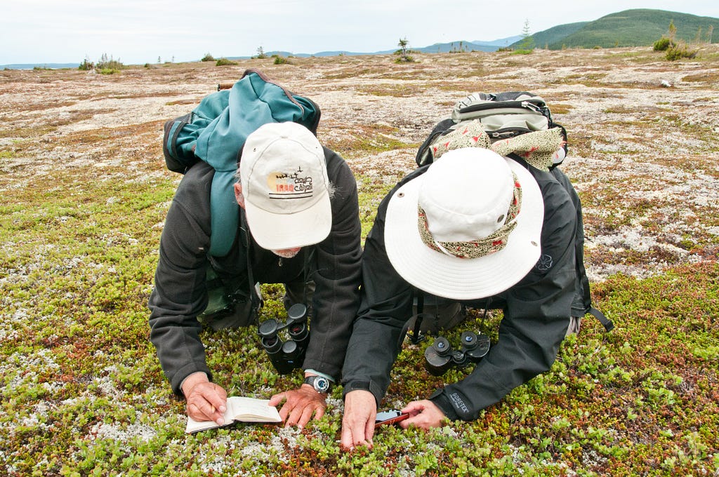 Two plant enthusiasts — one using a notebook and pencil and the other using a smart phone — take note in the sub-arctic tundra around Wonderstrands Beach in Labrador in northeastern Canada.