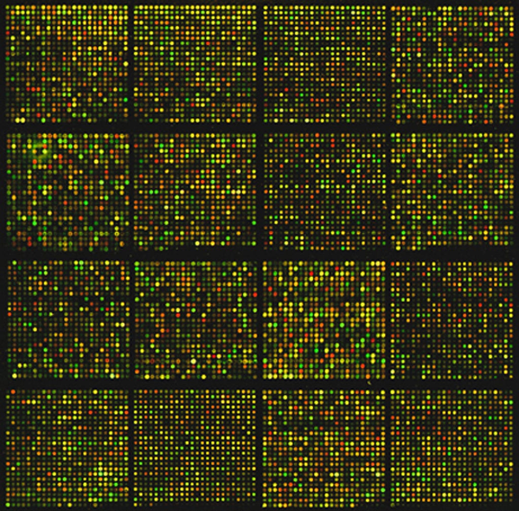 Microarray data containing 1,000s of genes. Looks like thousands of yellow, green, and red circles.