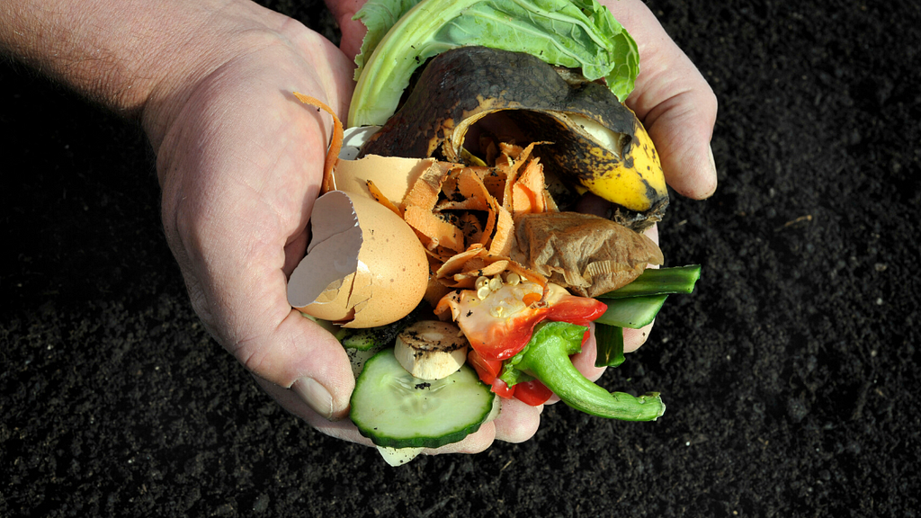 compost in garden