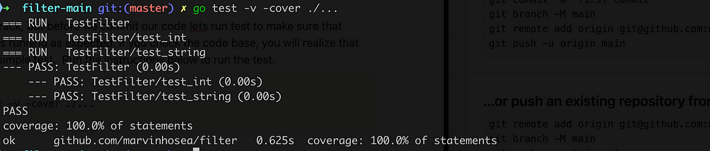 Code showing the initial test being run in your Go private module