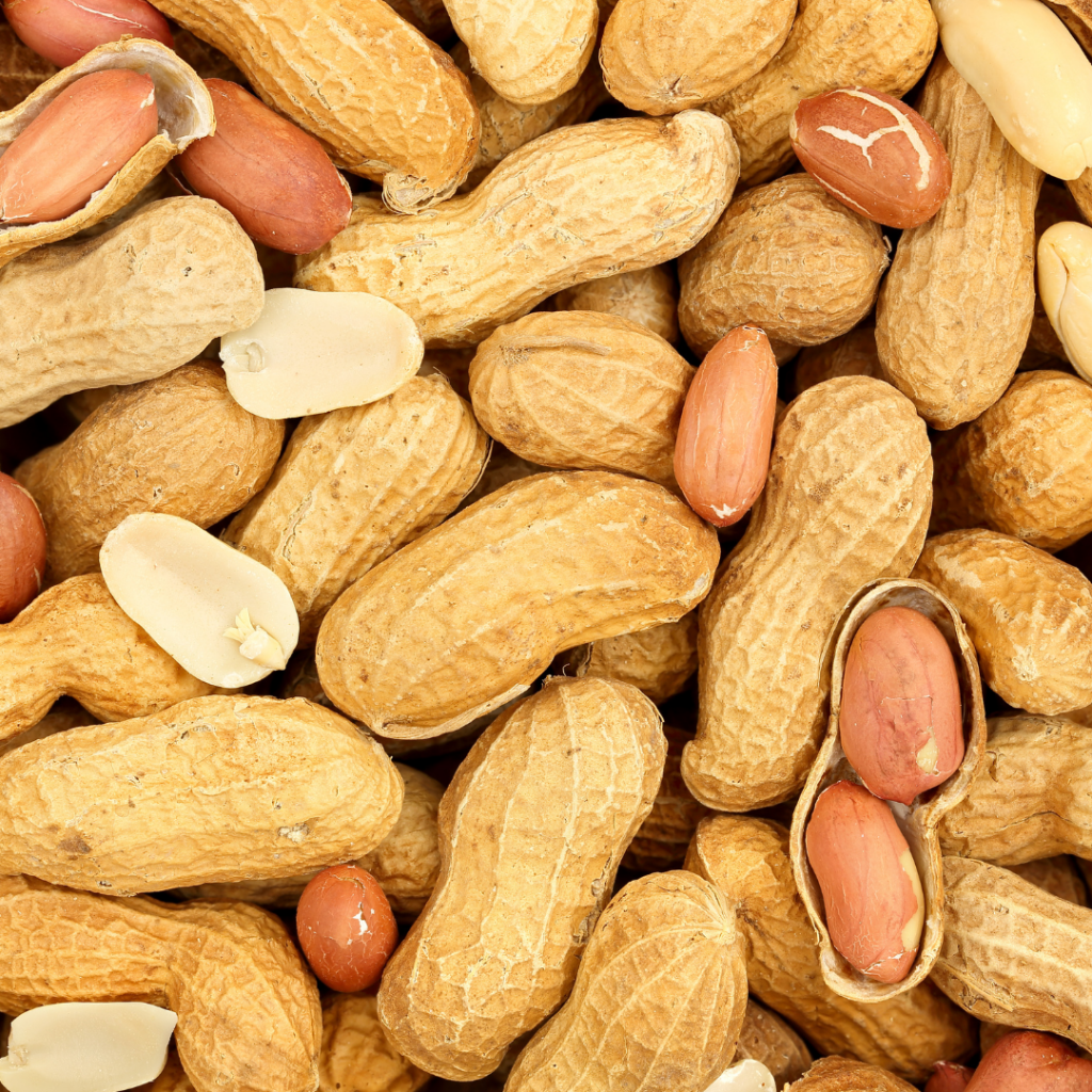 Peanut: The Affordable and Versatile Champion (Technically a Legume) — The Diabetes Decoder