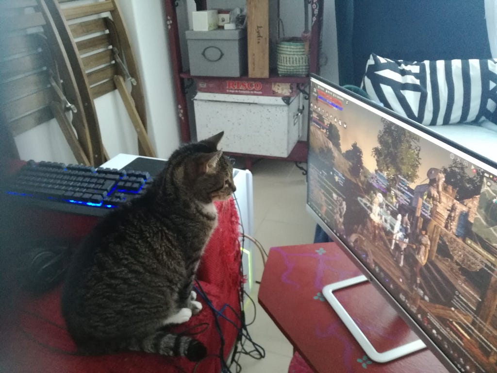 A tabby cat with white paws sitting on a red couch looking at a PC monitor showing an MMO game