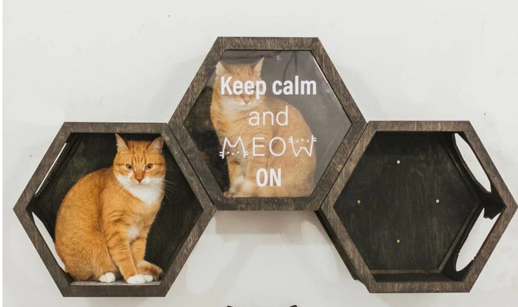 Buy Affordable Cat Wooden Wall Shelf