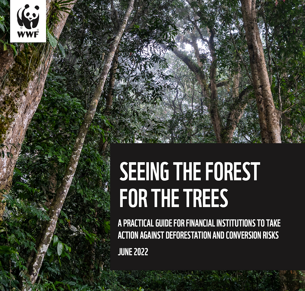 Seeing the Forest for the Trees — download the new report: https://wwfint.awsassets.panda.org/downloads/seeing_the_forest_for_the_trees.pdf