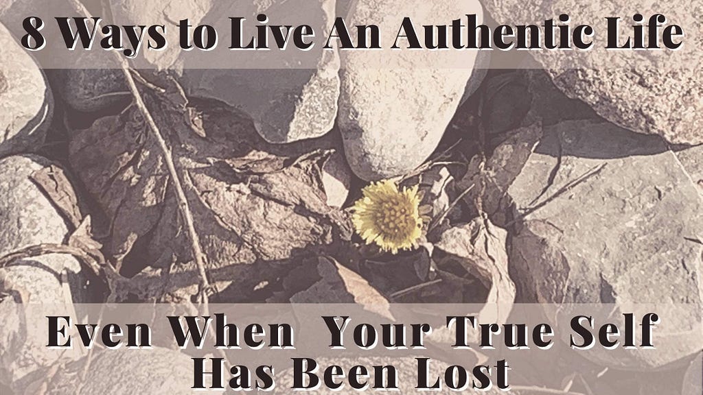 dandelion growing through the rocks 8 ways to live authentic life even when your true self has been lost