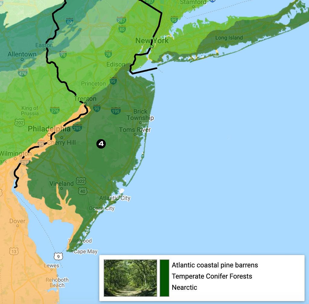 Atlantic coastal pine barrens eco-region map