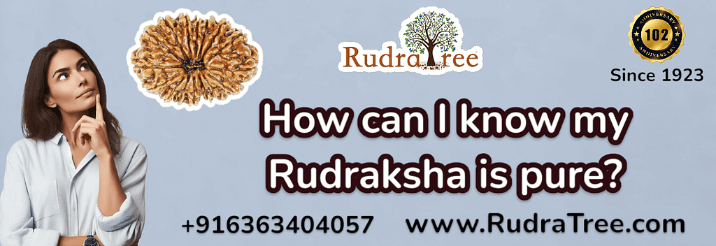 How can I know my Rudraksha is pure?