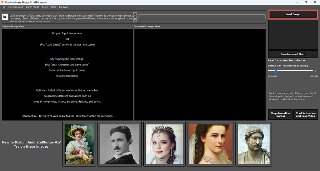 The screenshot highlights ‘Load Image’ button which is used to lod the input image using Pixbim Animates Photos AI.