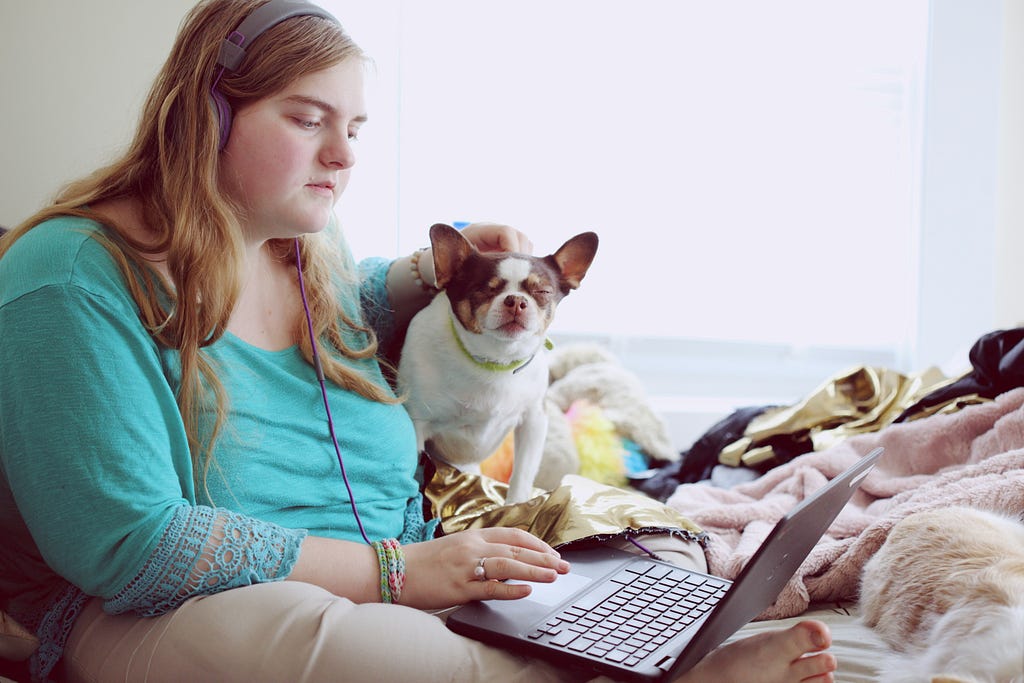 A person sat on their bed using a laptop, with their dog sat next to them