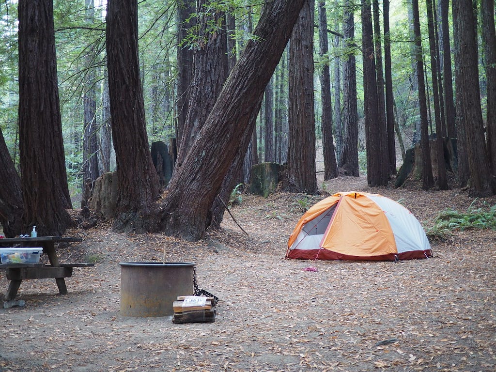 Our two-person tent nestled among trees at our favorite campsite in Humboldt County.