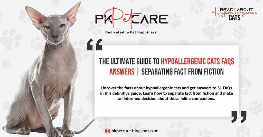 In recent years, the demand for hypoallergenic cats has been on the rise as more and more people seek feline companionship without the nuisance of allergies.