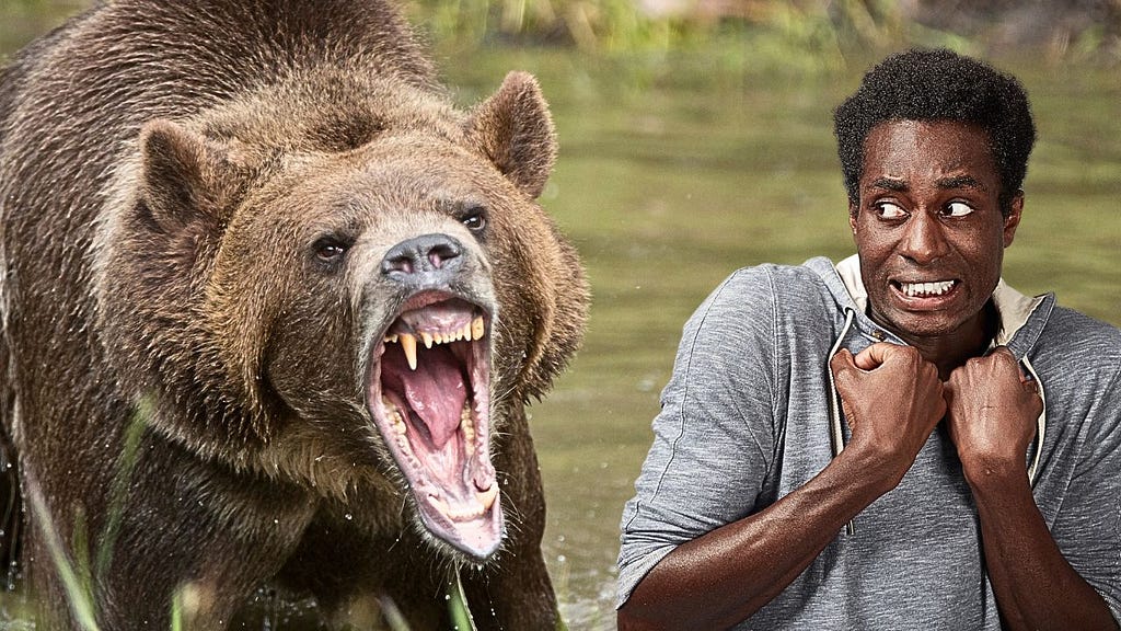 Photo of a scary bear and a frightened person