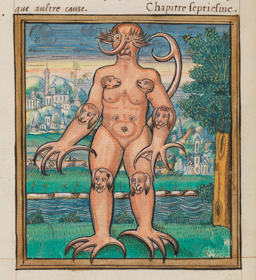 A brightly coloured and decorated illumination of the so-called “Monster of Cracow” — a monster with webbed feet, a tail, and many faces on its elbows, chest and knees.