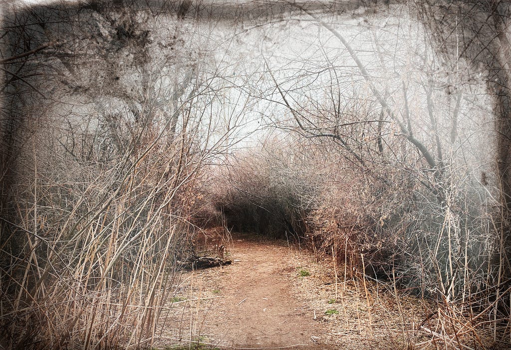 A path curving through a dry winter landscape shrouded in clouds and fog.