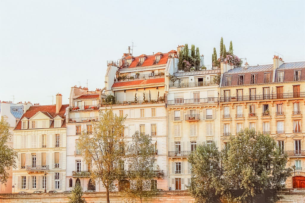 tall buildings with trees lining the riverbank on ile saint louis paris