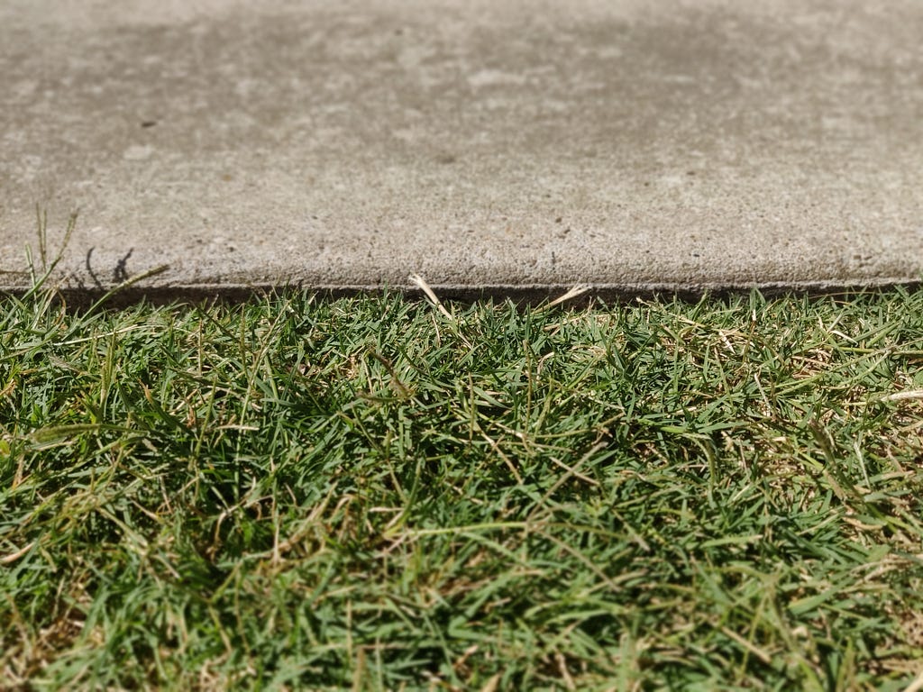 Grass and Concrete