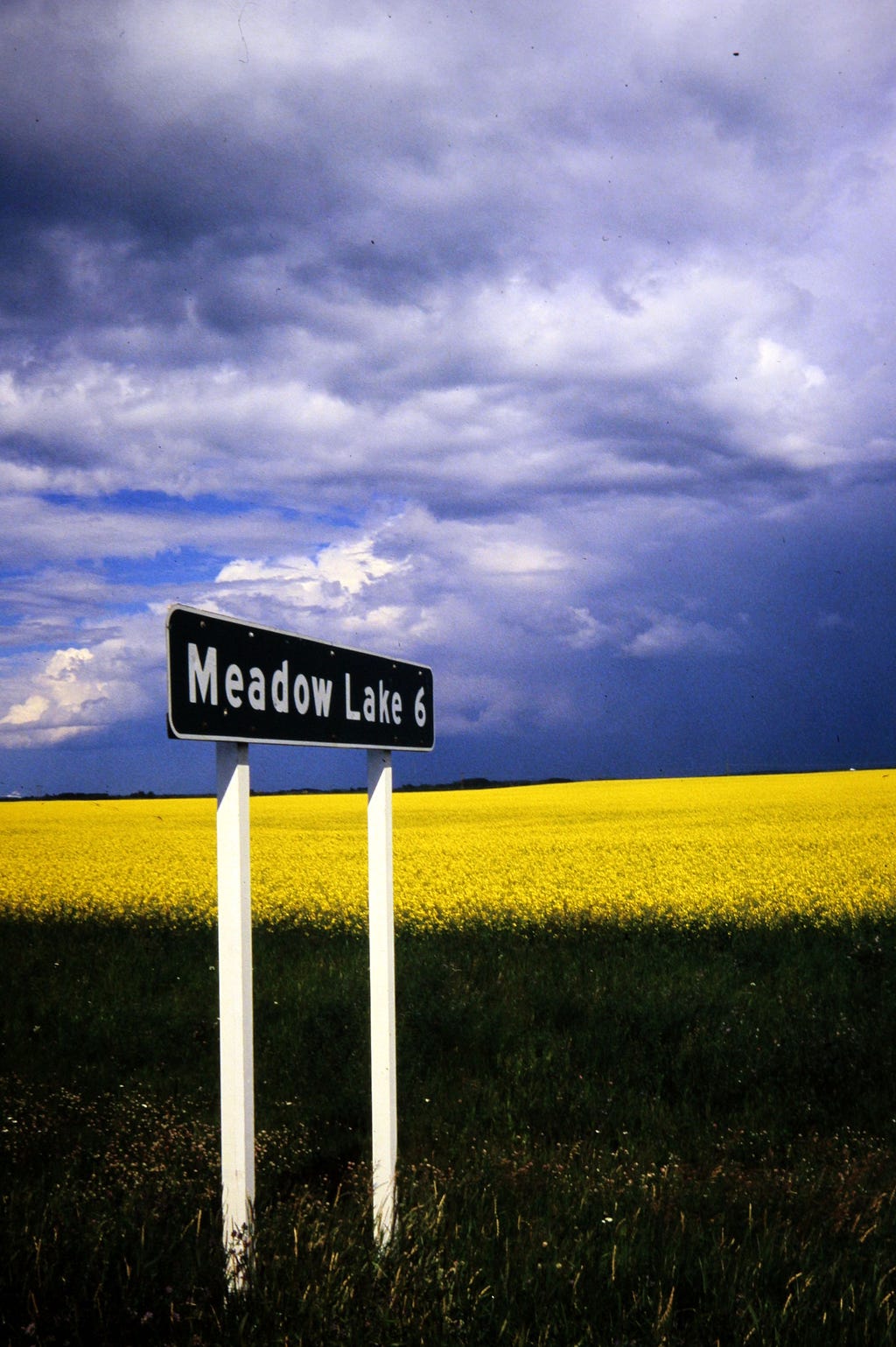 A contrasting blue sky meets a vibrant yellow field behind a sign reading Meadow Lake 6