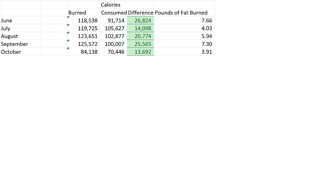 Spreadsheet sample showing pounds of fat burned each month