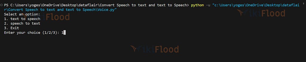 Convert Speech to text and text to Speech in Python Output