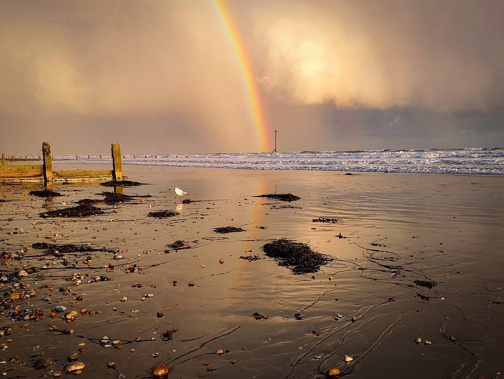 Stormy horizon with rainbow over the sea beach & seagull in foreground